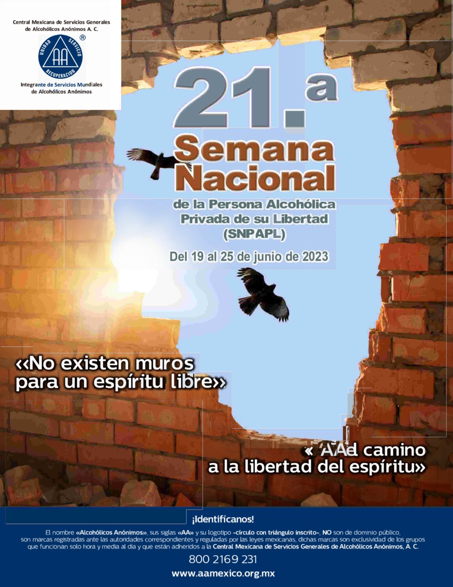 21 semana